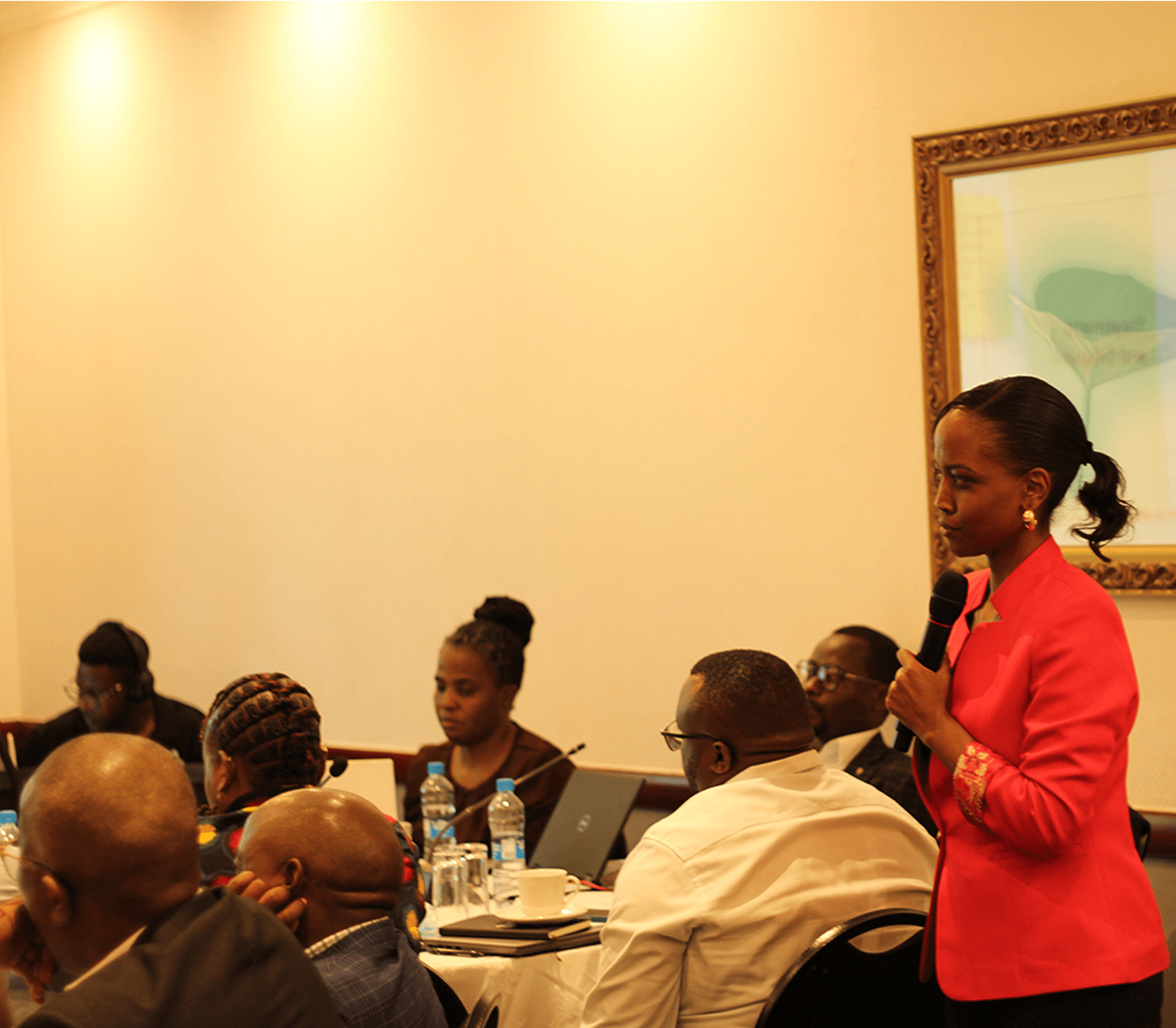 NSS LANDSCAPE ASSESSMENT image